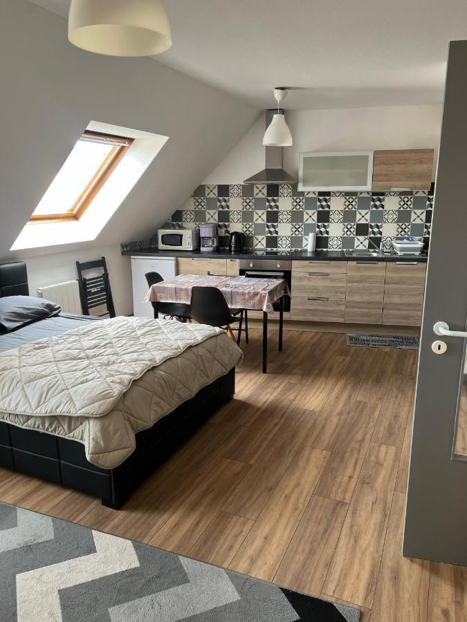 Super Appartement Colmar Centre Eksteriør bilde