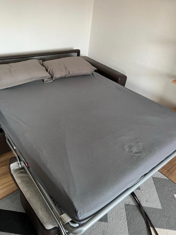 Super Appartement Colmar Centre Eksteriør bilde