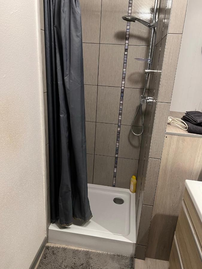 Super Appartement Colmar Centre Eksteriør bilde