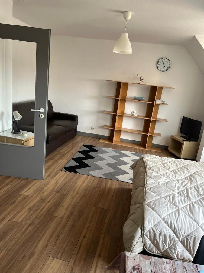 Super Appartement Colmar Centre Eksteriør bilde